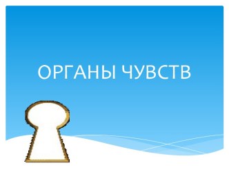 Система органов чувств