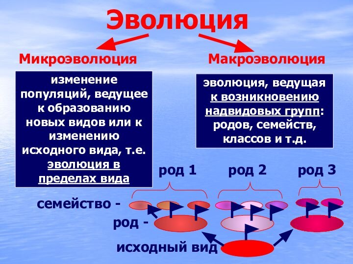 ЭволюцияМикроэволюцияМакроэволюцияизменение популяций, ведущее к образованию новых видов или к изменению исходного вида,