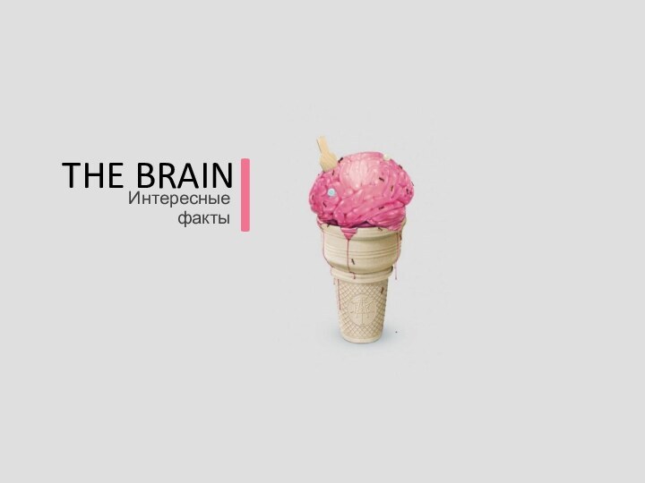 THE BRAINИнтересные фактыl