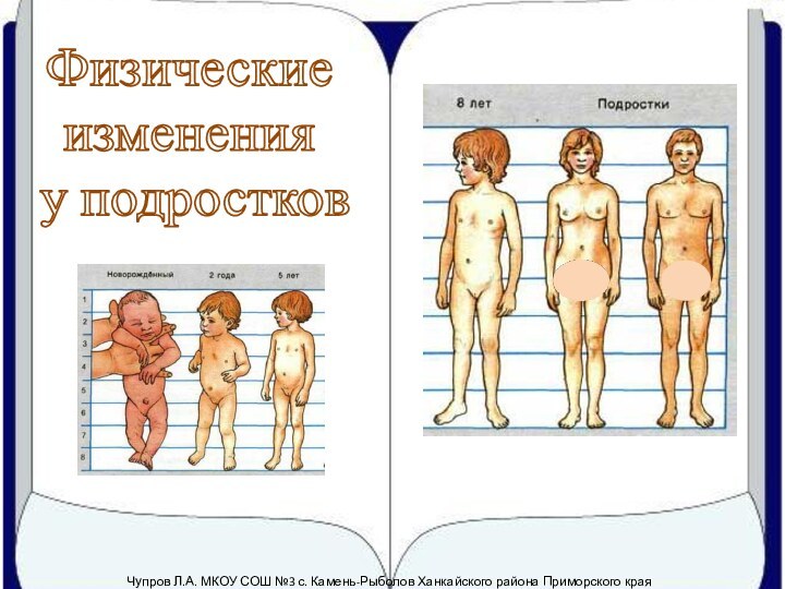 Физические изменения у подростковЧупров Л.А. МКОУ СОШ №3 с. Камень-Рыболов Ханкайского района Приморского края