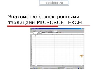 Электронные таблицы MICROSOFT EXCEL