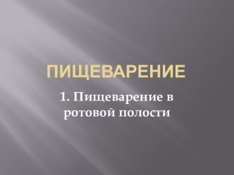 Подробно о пищеварении