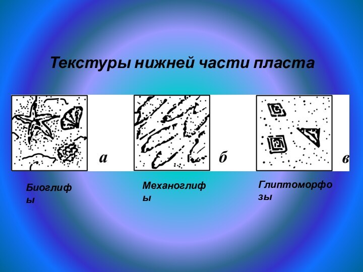 БиоглифыМеханоглифыГлиптоморфозыТекстуры нижней части пласта