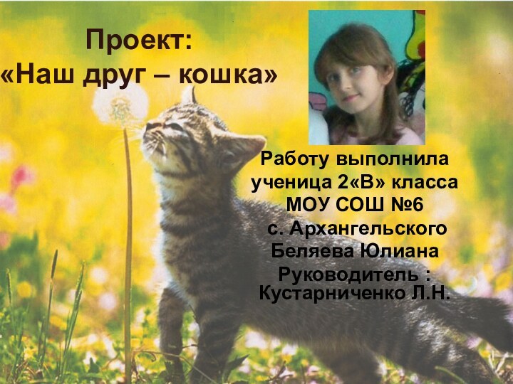 Проект:  «Наш друг – кошка»Работу выполнила ученица 2«В» класса МОУ СОШ