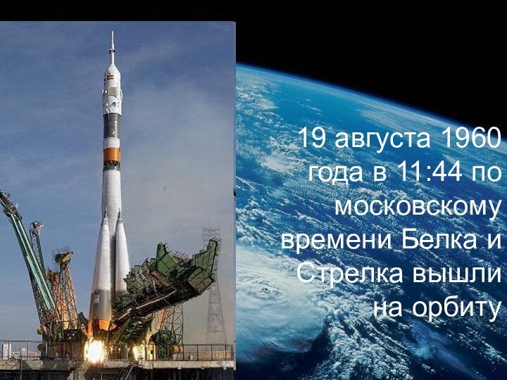 19 августа 1960 года в 11:44 по московскому времени Белка и Стрелка вышли на орбиту