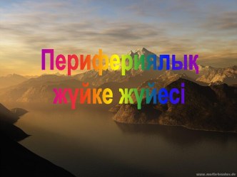 Периферическая нервная система