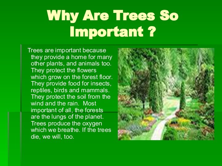 Why Are Trees So Important ?  Trees are important because they