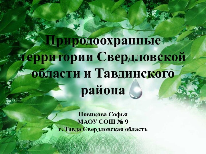 Природоохранные территории Свердловской области и Тавдинского районаНовикова Софья МАОУ СОШ № 9г. Тавда Свердловская область