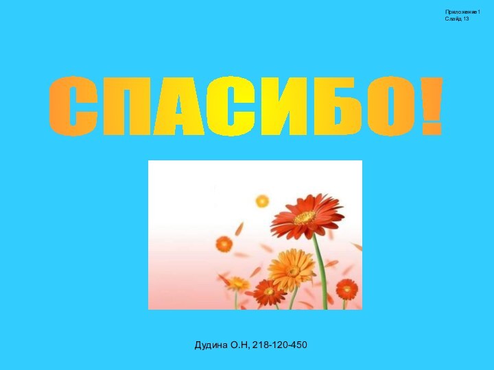 Дудина О.Н, 218-120-450СПАСИБО! Приложение1Слайд 13