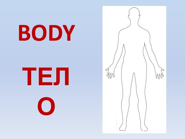 BODYТЕЛО