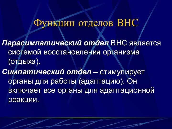 Функции отделов ВНСПарасимпатический отдел ВНС является системой восстановления организма (отдыха).Симпатический отдел –