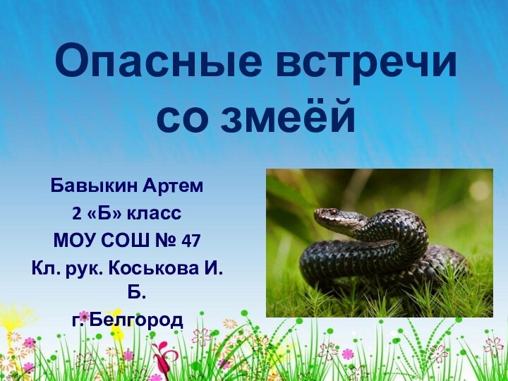 Опасные встречи со змеёйБавыкин Артем2 «Б» классМОУ СОШ № 47Кл. рук. Коськова И. Б.г. Белгород