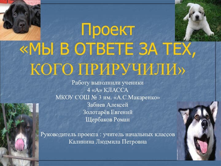 Проект «МЫ В ОТВЕТЕ ЗА ТЕХ, КОГО ПРИРУЧИЛИ» Работу выполнили ученики 4