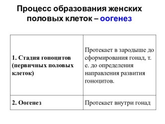 Процесс образования женских половых клеток – оогенез