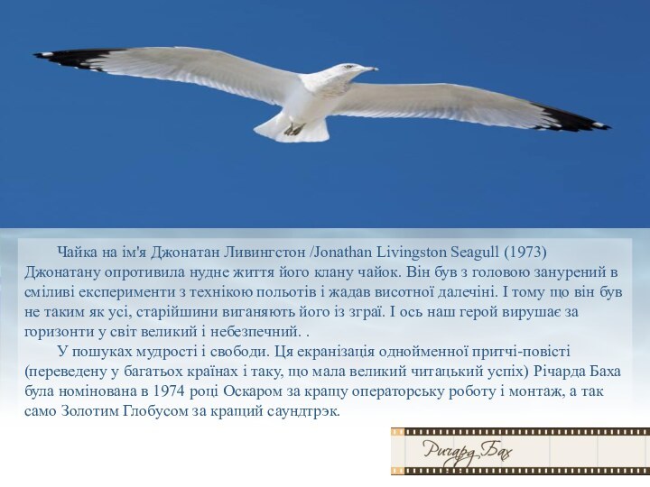 Чайка на ім'я Джонатан Ливингстон /Jonathan Livingston Seagull (1973) 	Джонатану опротивила нудне