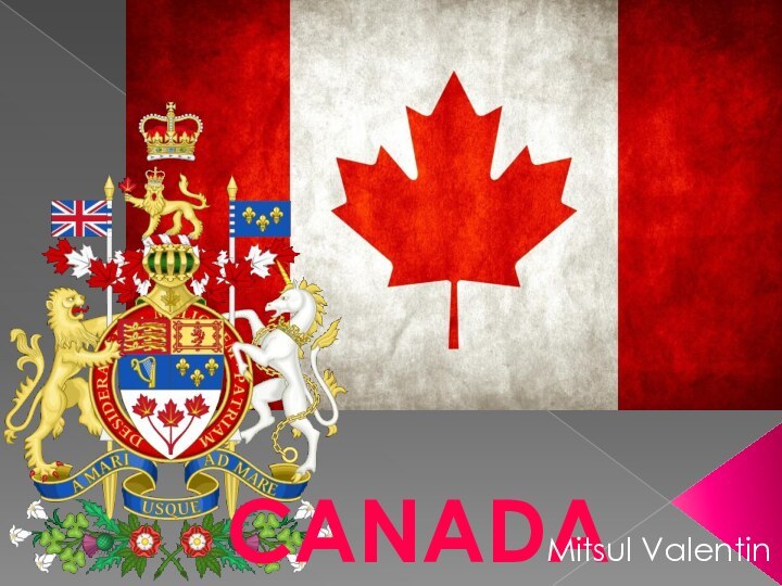 CANADAMitsul Valentin