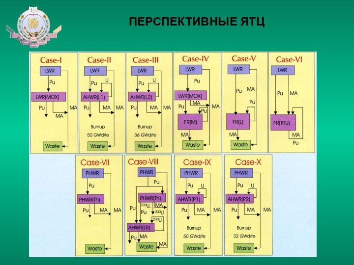 ПЕРСПЕКТИВНЫЕ ЯТЦ