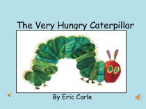 The very hungry caterpillar