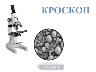 Микроскоп