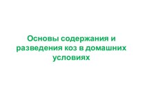 Основы содержания и разведения коз в домашних условиях 