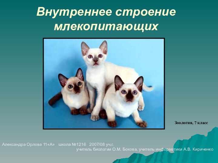 Внутреннее строение млекопитающихАлександра Орлова 11«А»  школа №1216  2007/08 уч.г.учитель биологии