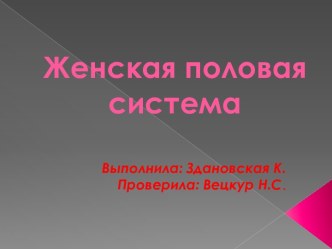 Женская половая система