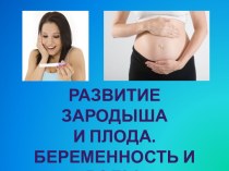 Развитие зародыша и плода. Беременность и роды