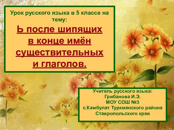 Урок русского языка в 5 классе на тему: Ь после шипящих