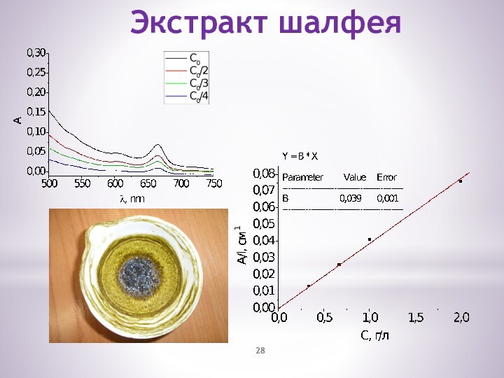 Экстракт шалфея