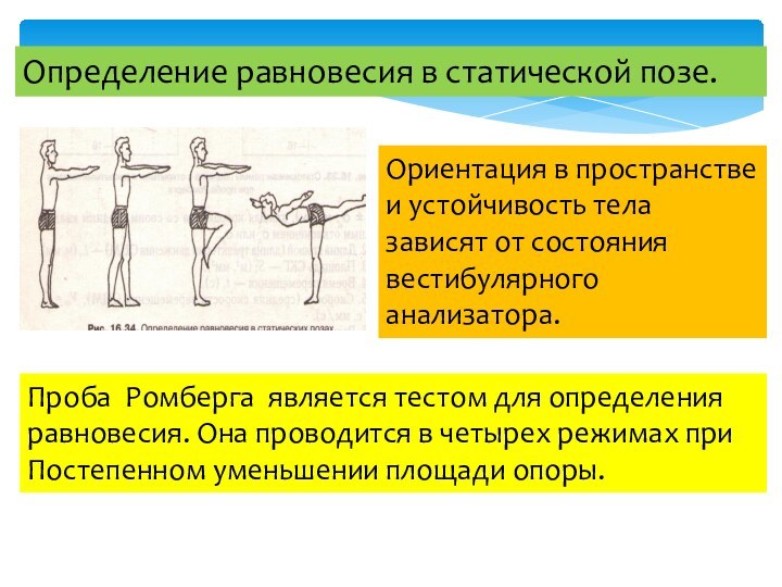 Определение равновесия в статической позе.Ориентация в пространстве и устойчивость телазависят от состояниявестибулярного