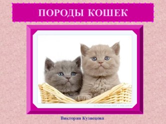 Породы кошек