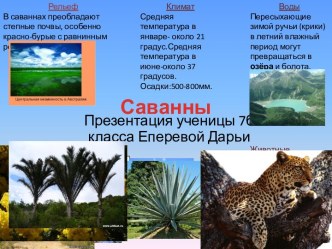 Саванны