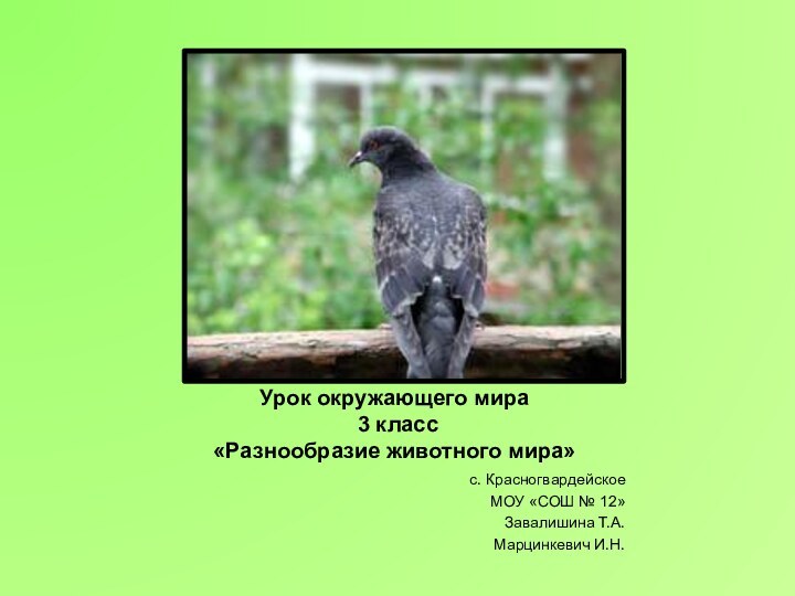 Урок окружающего мира  3 класс  «Разнообразие животного мира»с. Красногвардейское МОУ