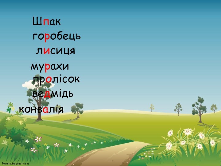 Шпак горобець лисицямурахипролісок ведмідьконвалія