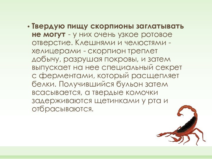 Что помогает скорпиону добывать. Питание скорпионов. Что помогает скорпиону добывать пищу. Как Скорпион добывает пищу. Что помогает скорпиону добывать пищу 3 класс.