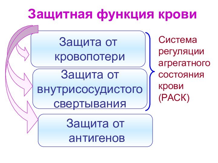 Защитная функция кровиЗащита от кровопотериЗащита от внутрисосудистогосвертыванияЗащита от антигеновСистемарегуляцииагрегатногосостояниякрови (РАСК)