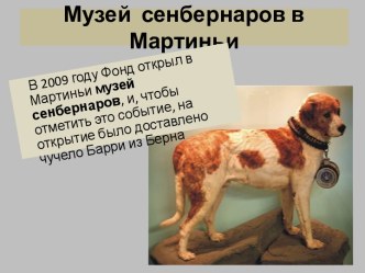 Музей сенбернаров в Мартиньи