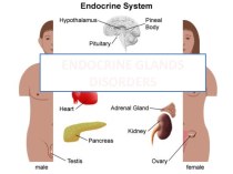 Endocrine glands disorders