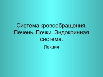 Система кровообращения. Печень. Почки. Эндокринная система.