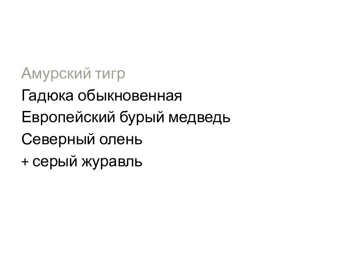 Амурский тигрГадюка обыкновеннаяЕвропейский бурый медведьСеверный олень+ серый журавль