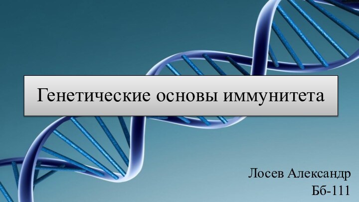 Лосев АлександрБб-111Генетические основы иммунитета