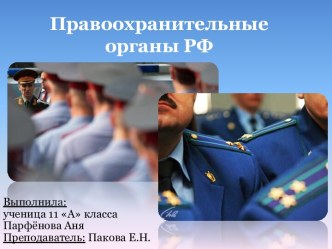 Правоохранительные органы РФ