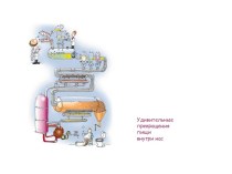 Удивительные превращения пищи внутри нас