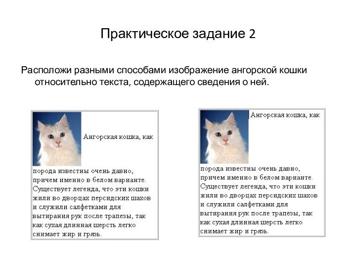 Практическое задание 2Расположи разными способами изображение ангорской кошки относительно текста, содержащего сведения о ней.