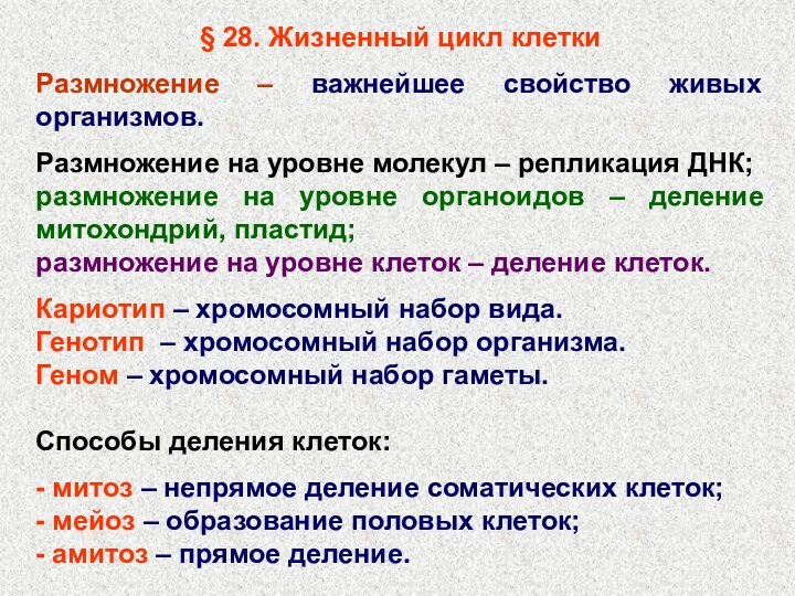 § 28. Жизненный цикл клетки 	Размножение – важнейшее свойство живых организмов. Размножение