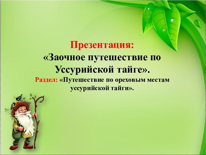 Презентация: «Заочное путешествие по Уссурийской тайге».Раздел: «Путешествие по ореховым местам уссурийской тайги».