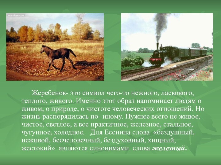 Жеребенок- это символ чего-то нежного, ласкового, теплого, живого. Именно этот