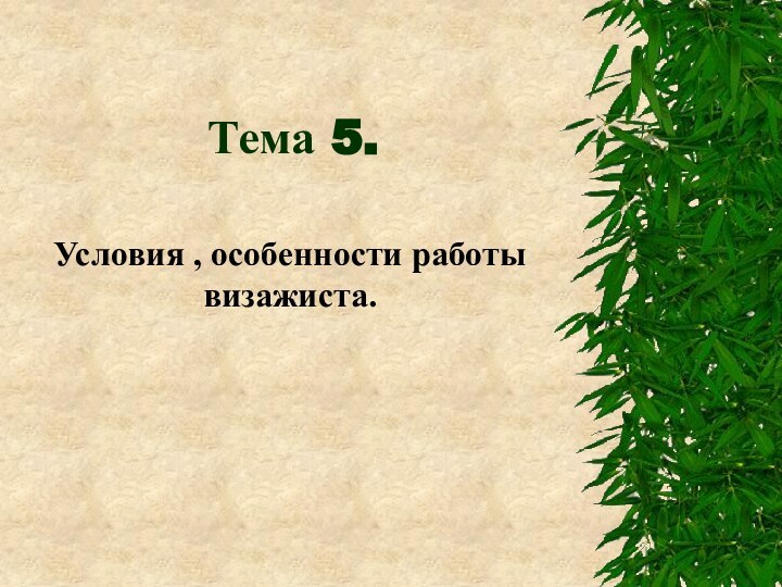 Тема 5.Условия , особенности работы визажиста.