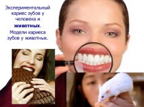 Экспериментальный кариес зубов у человека и животных