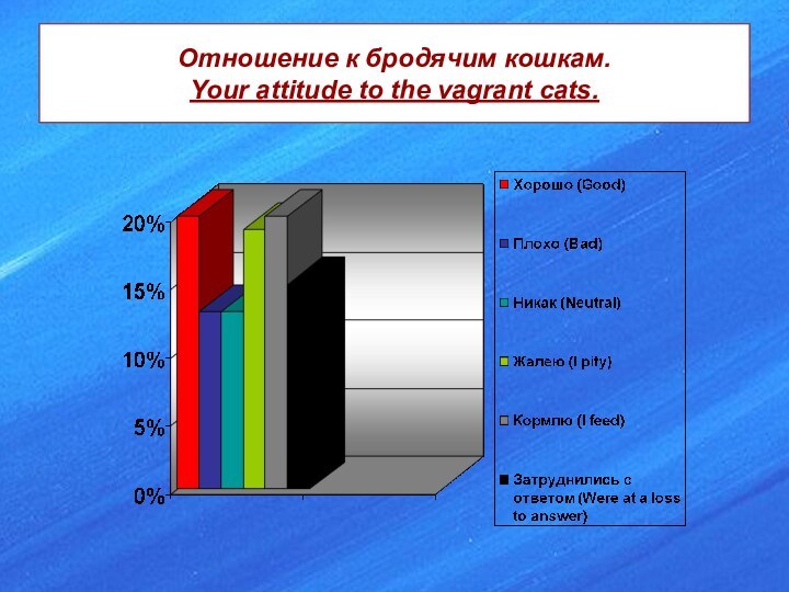 Отношение к бродячим кошкам. Your attitude to the vagrant cats.